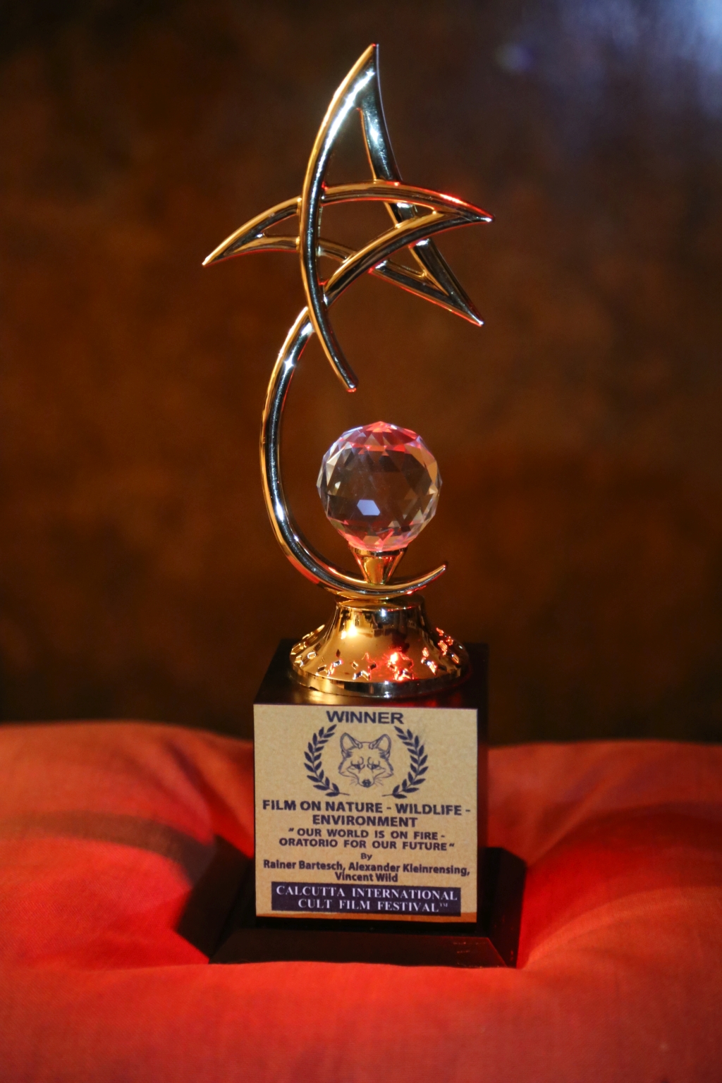 Winner - Calcutta International Cult Film Festival